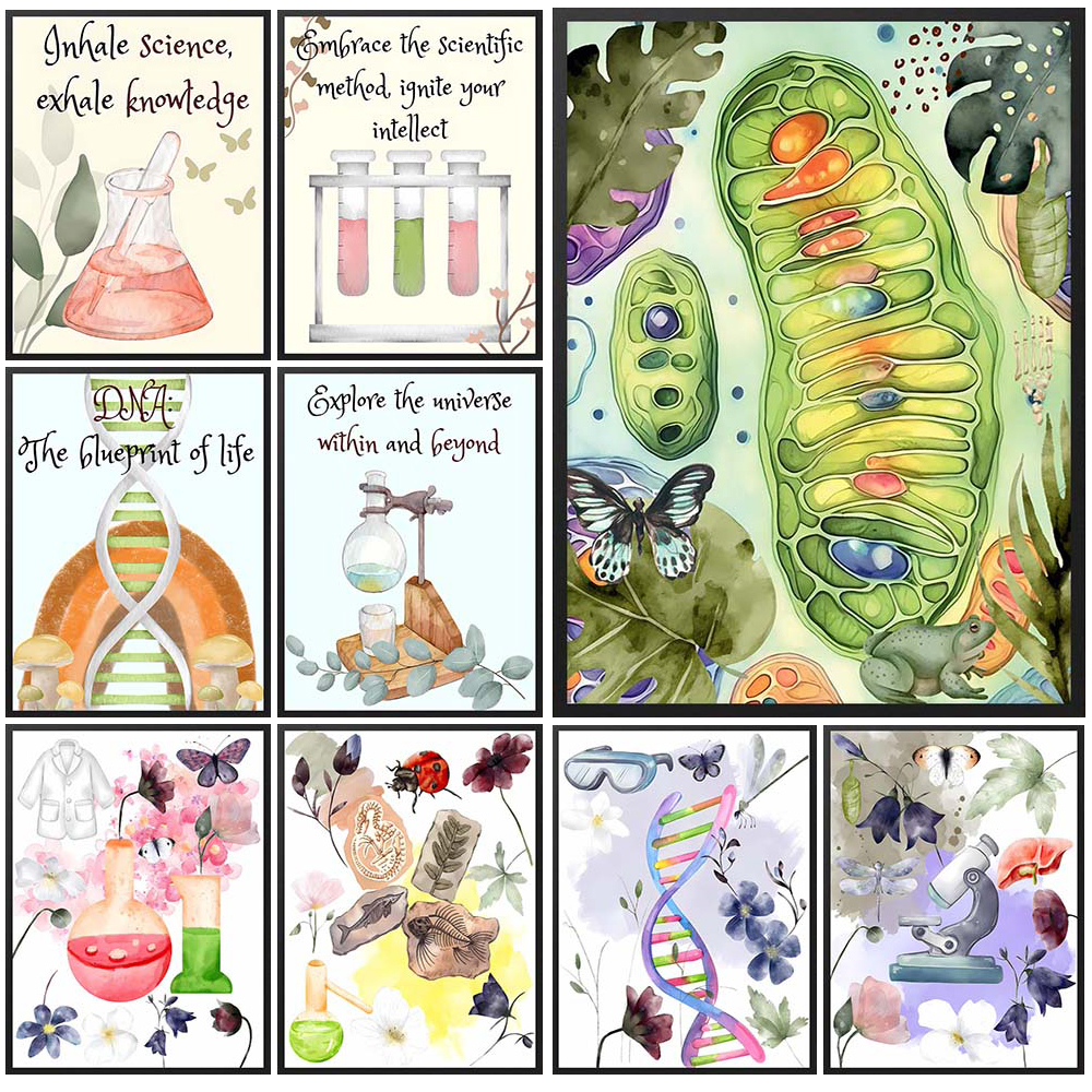 Nursery Cell Biology Science C - مراجعة Science Nursery وسعره