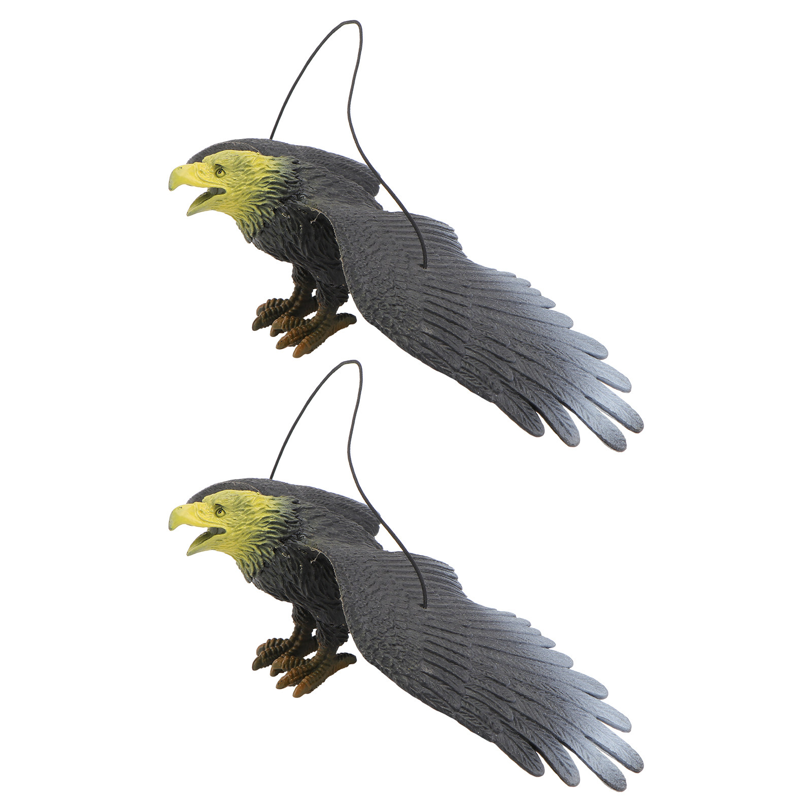 2Pcs Premium Simulation Eagle  - مراجعة Science Toy وسعره