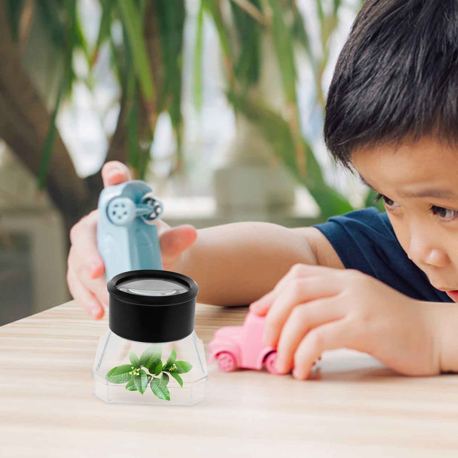 2Pcs Insect Magnifier Box Plas - مراجعة Science Toy وسعره