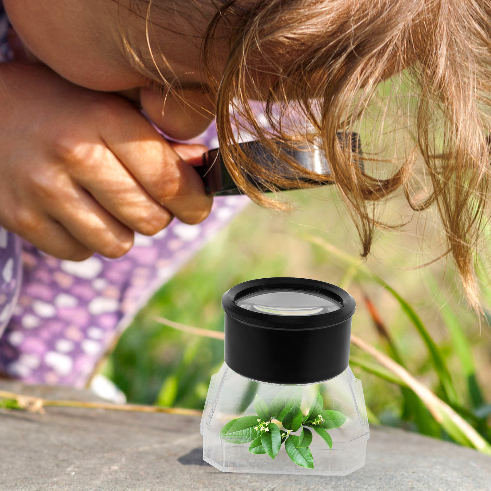 2Pcs Insect Magnifier Box Plas - مراجعة Science Toy وسعره