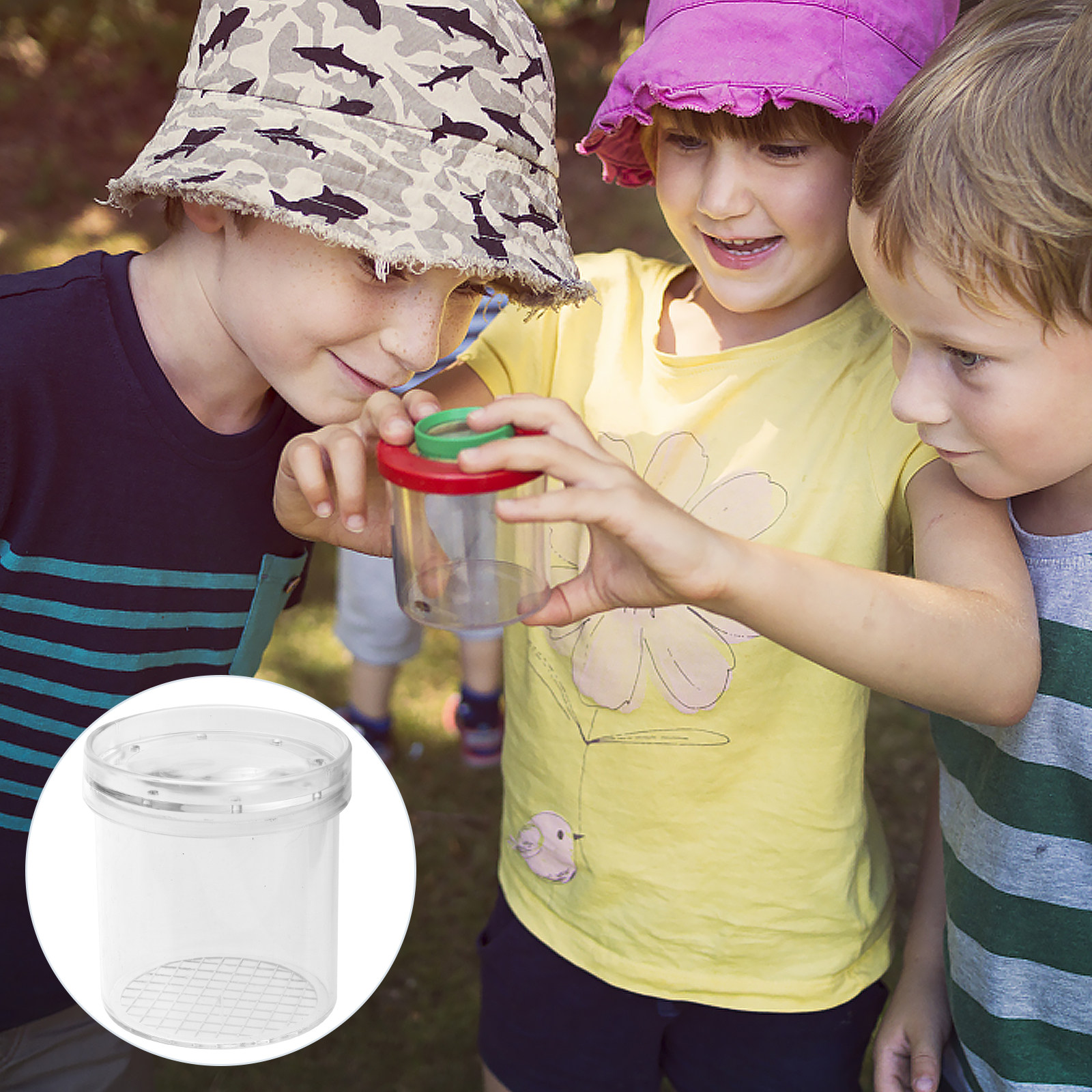 5Pcs Insect Viewer Box Kids Ex - مراجعة Science Toy وسعره