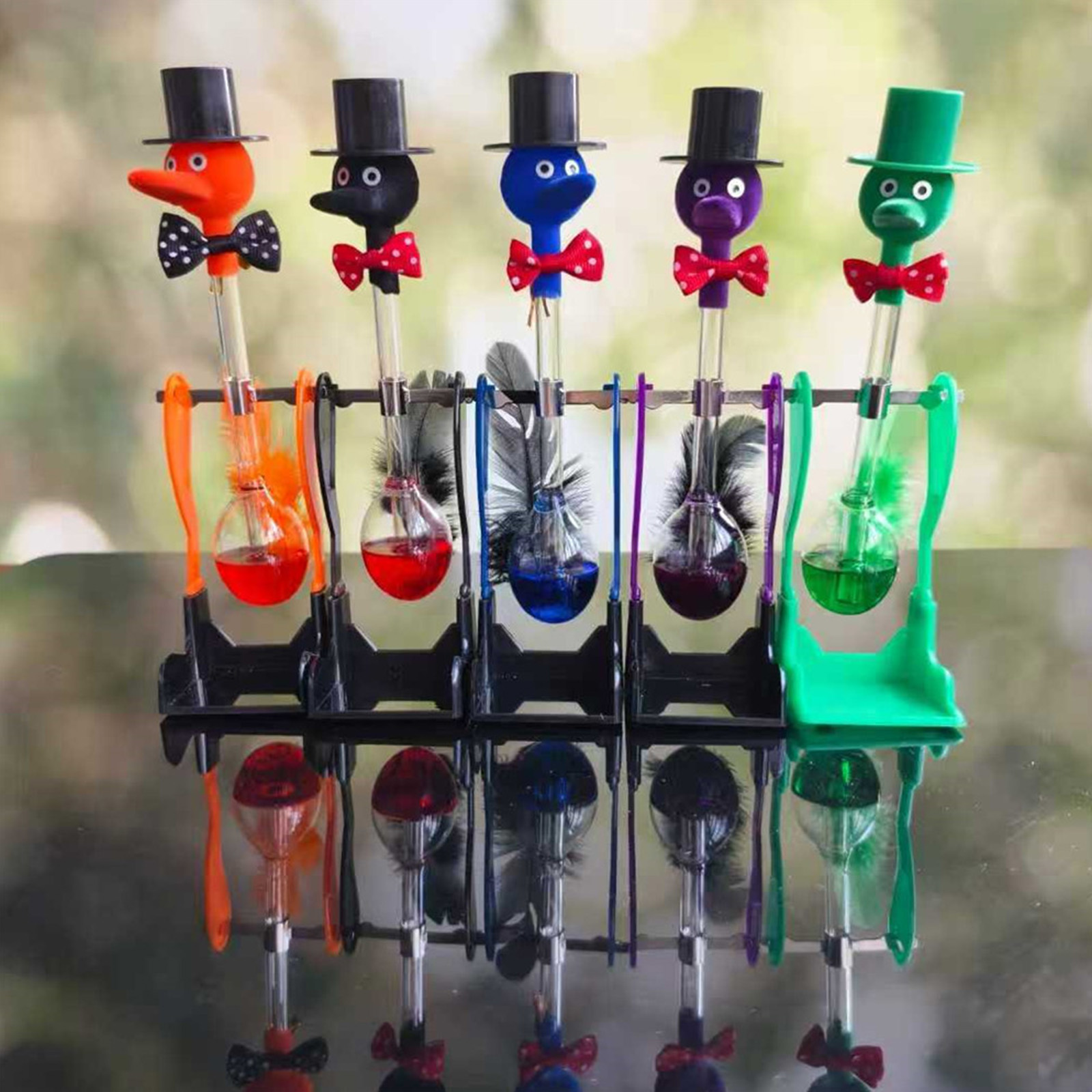 New Bow Drinking Water Bird Pe - مراجعة Science Bob وسعره