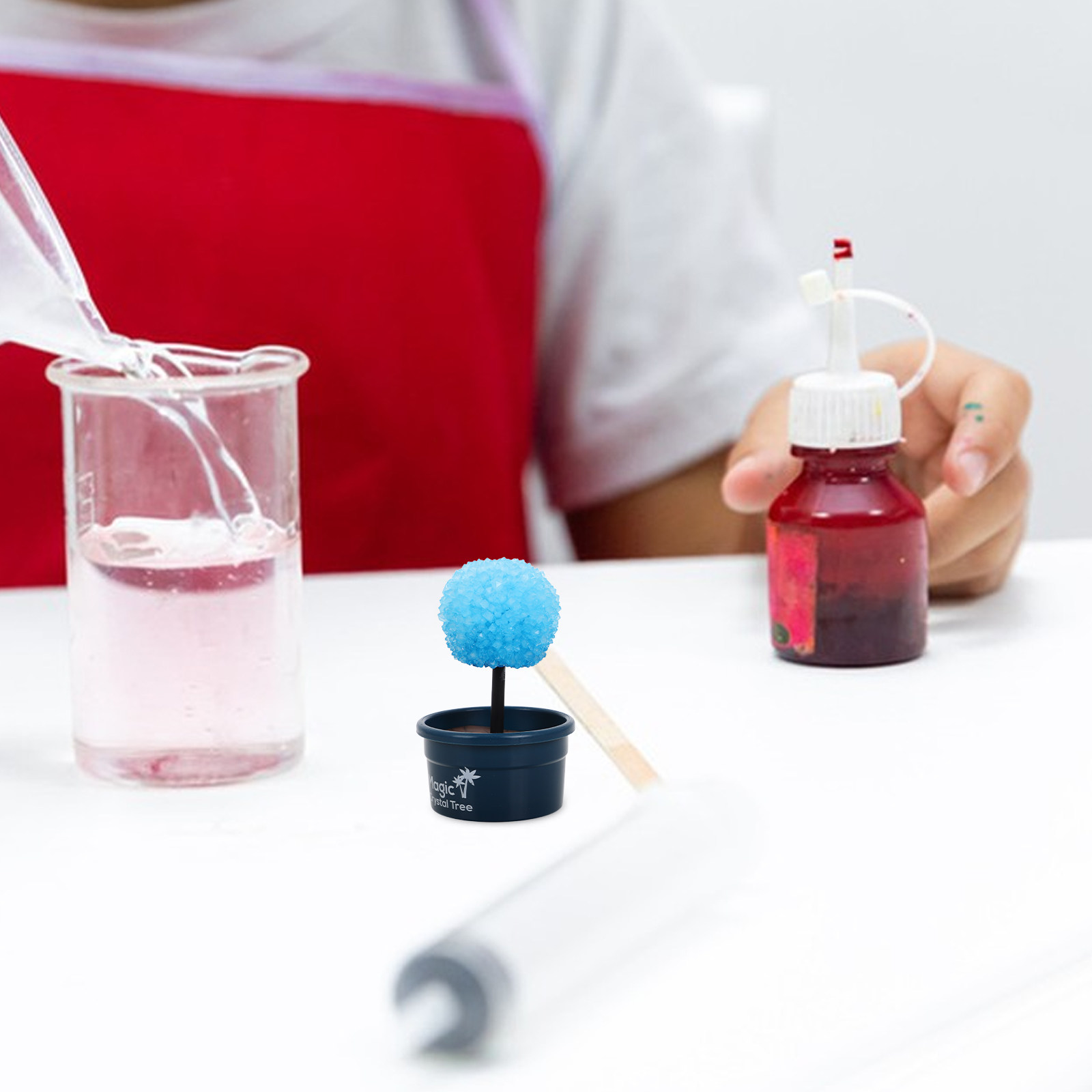 1Set Crystal DIY Science Kit F - مراجعة Science Project Diy وسعره