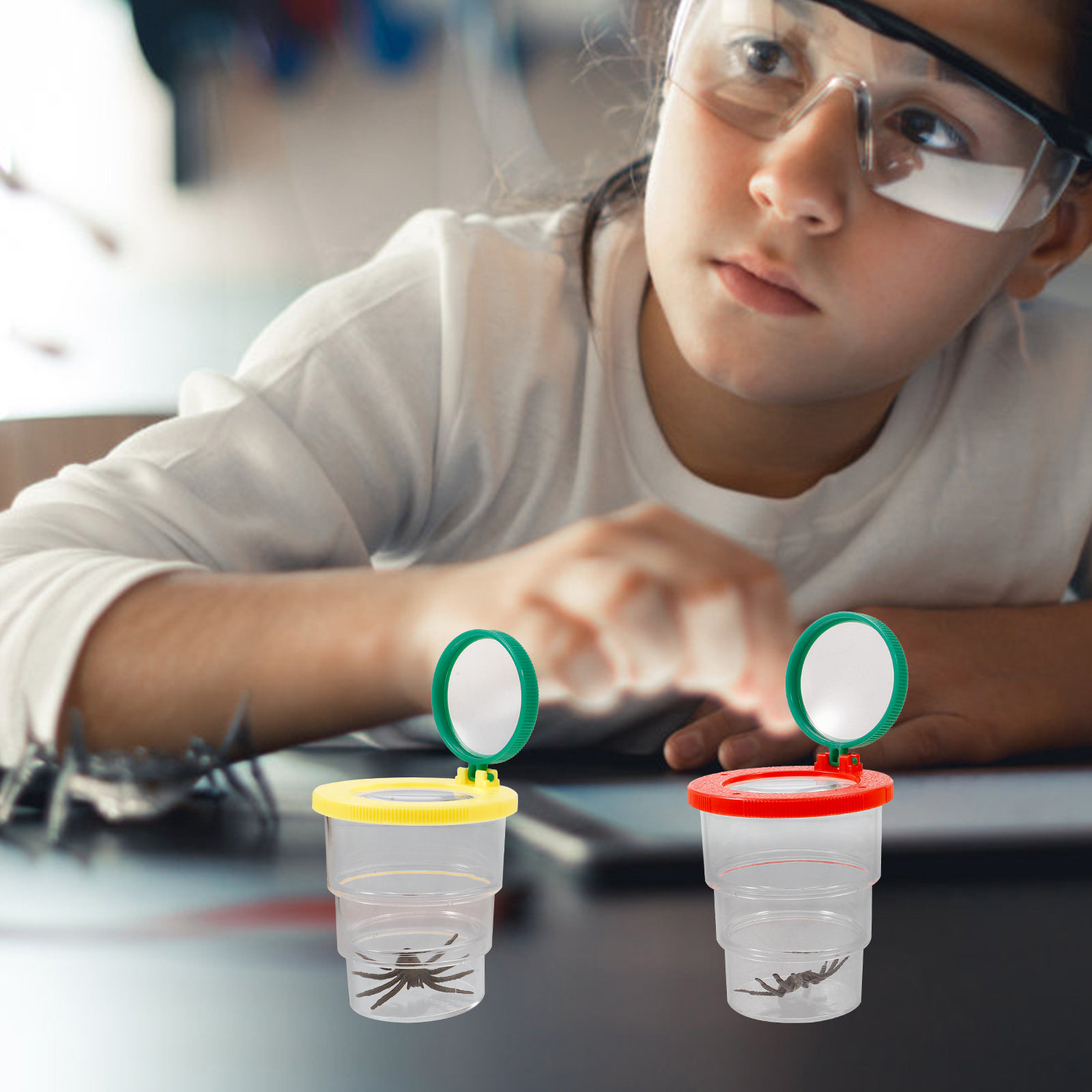 3Pcs Insect Observation Box Tr - مراجعة Science Toy وسعره