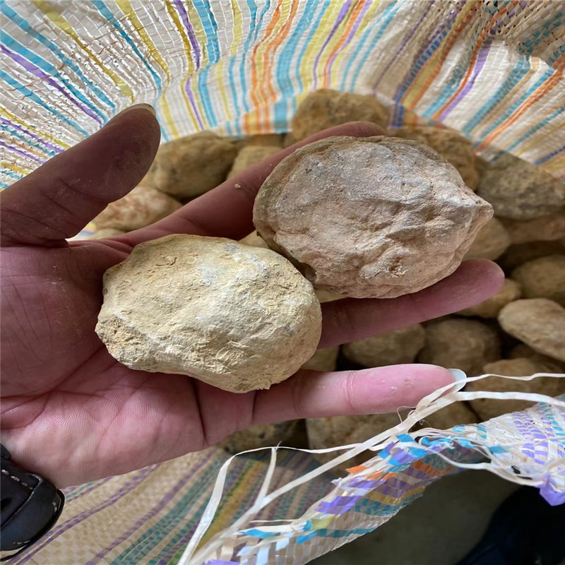 Break Your Own Geodes Natural  - مراجعة Geode Crystal Break وسعره