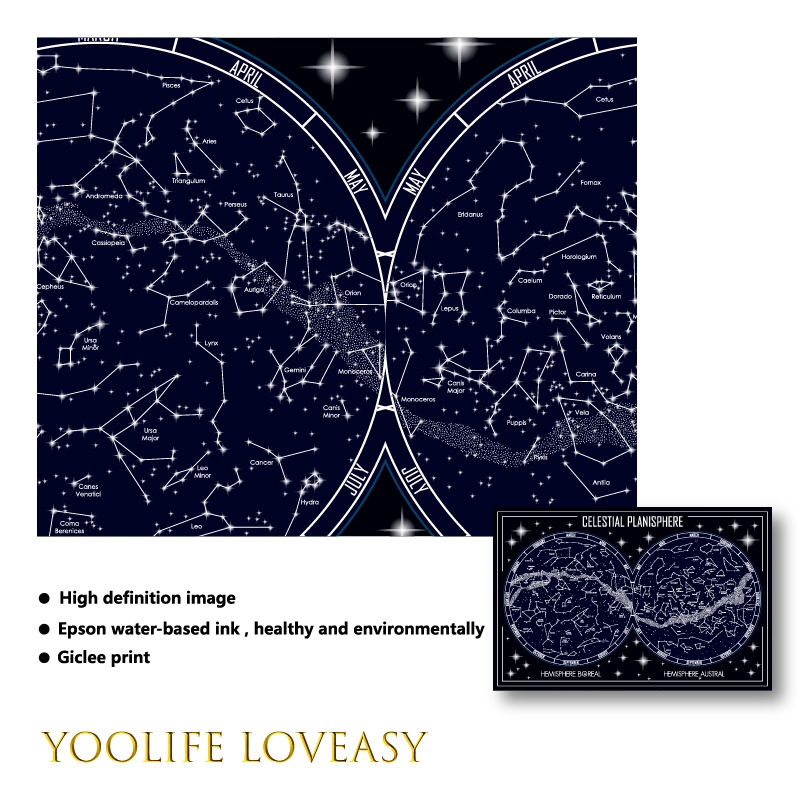 Celestial Planisphere Map Canv - مراجعة Star Map Poster وسعره